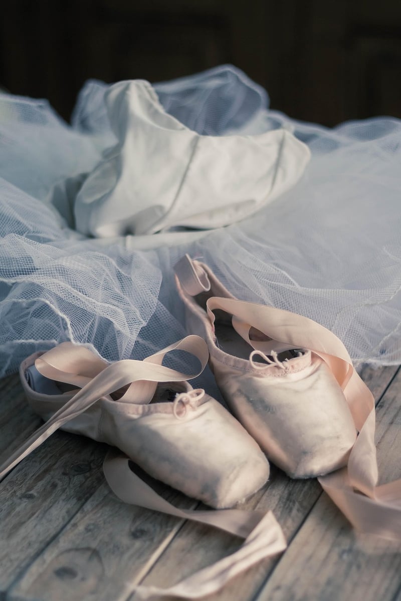 Ballet for Wellness