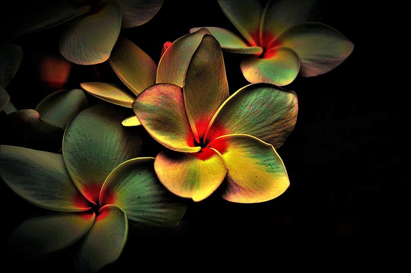 Breath Image